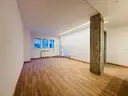 Totally renovated apartment in the center of Andorra la Vella 4
