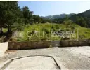 Chalet in large nature 22