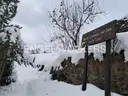 Terreno en venta en Pal, 833 metros 4