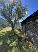 Venda de Bordes 1