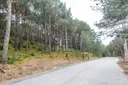 Situat en una zona residencial a la sortida de Jub 2