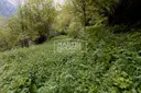 Terreny urbanitzable de 2.150 m² amb potencial per a 4 habitatges... 13