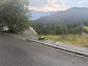 Venda a La Massana 2