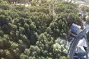 Terreno en venta en Anyós, 600 metros 3
