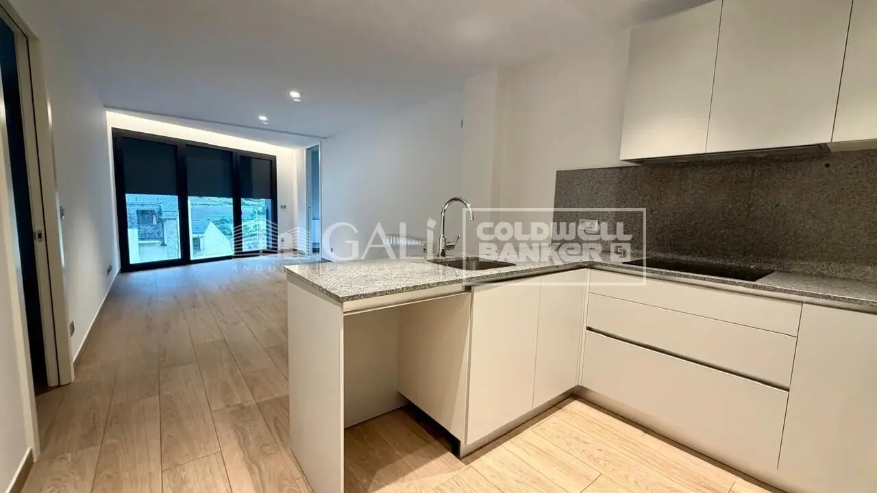 Piso de tres dormitorios en Andorra la Vella — foto 1 de 21