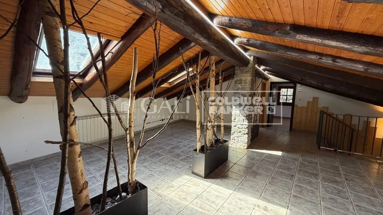 BORDA EN EL CENTRO DE LA MASSANA EN VENTA — foto 1 de 14