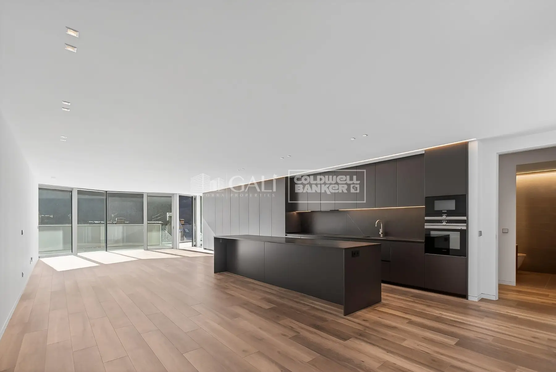 EXCLUSIVA VIVIENDA DE ALTO STANDING EN ANDORRA LA VELLA — foto 1 de 14