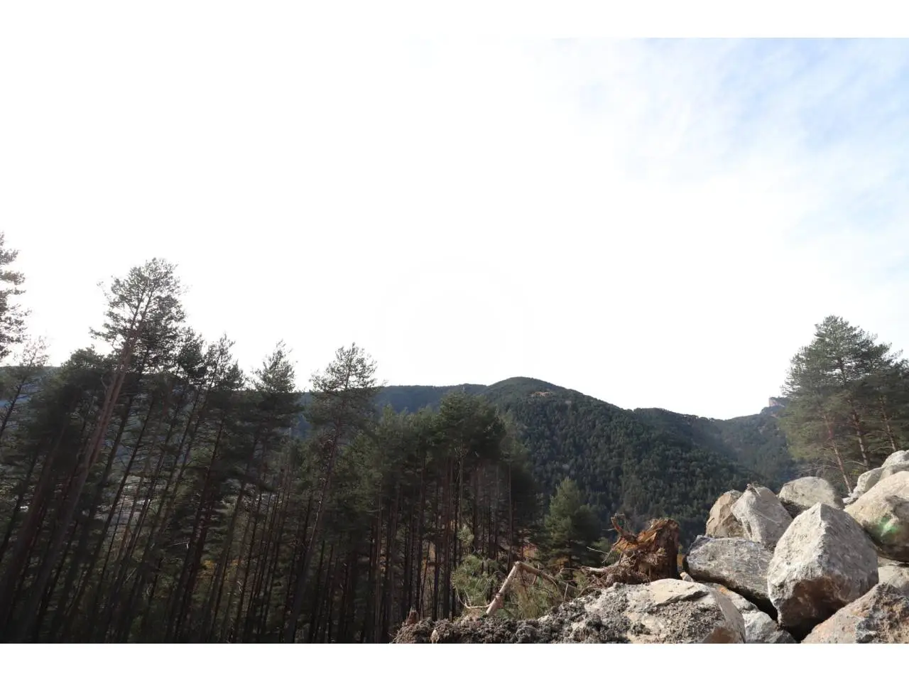 Parcel·la en venda ubicada a La Massana — foto 1 de 2