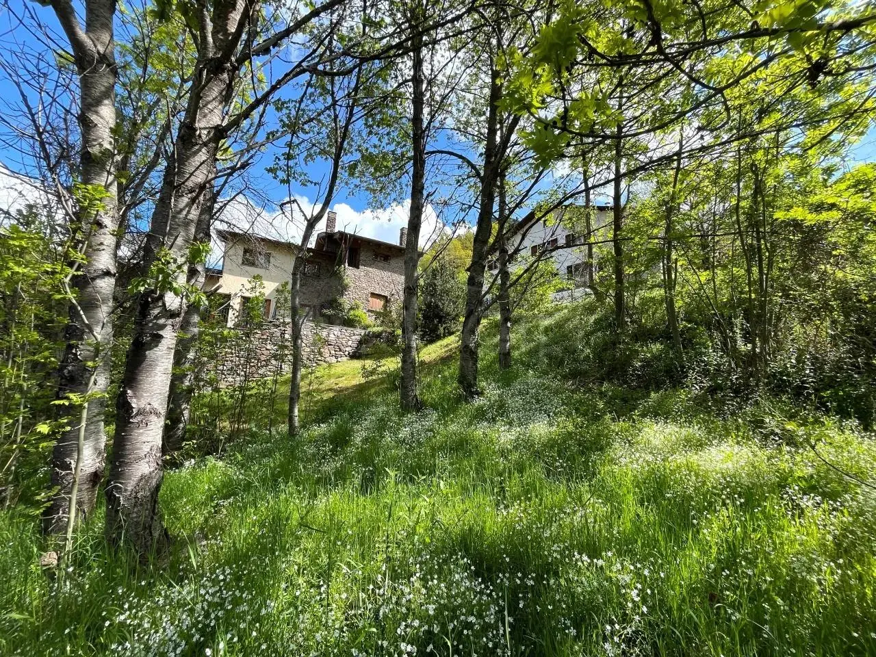 Venda a La Massana — foto 1 de 19