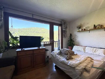 Unique opportunity in Bordes d’Envalira for just €132,000.