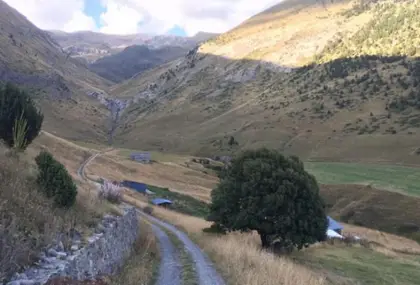 VENDA TERRENY CANILLO